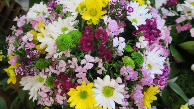 uploaded-image-kirmizi-defterler-ve-saglik-gunlukleri-1697453999443